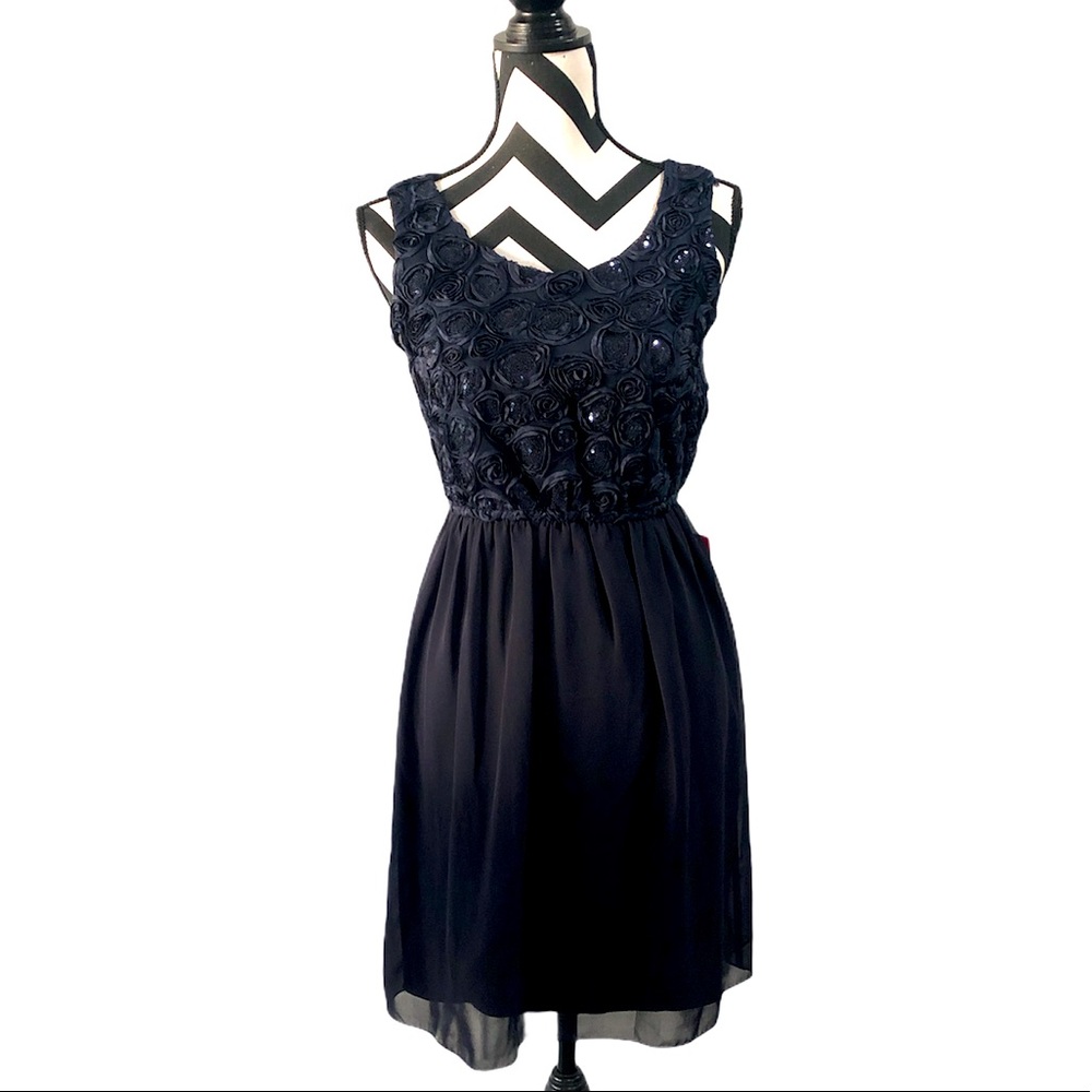 Enfocus Studio Sheer Dress